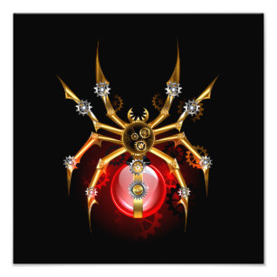 Impression Photo Araignée en vapeur noire