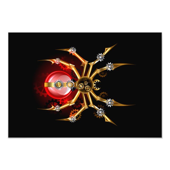 Impression Photo Araignée en vapeur noire (Devant)