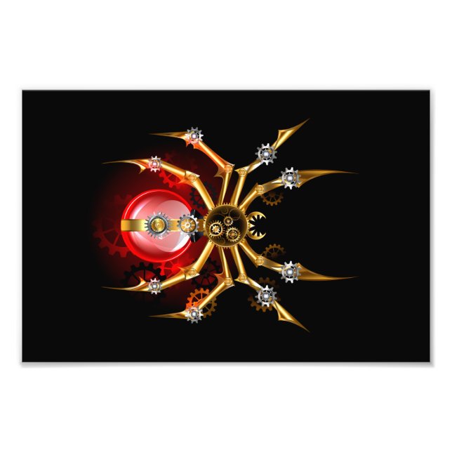 Impression Photo Araignée en vapeur noire (Devant)