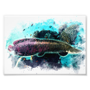 Impression Photo Arapaima Monster Poisson Aquarelle Pirarucu Paiche
