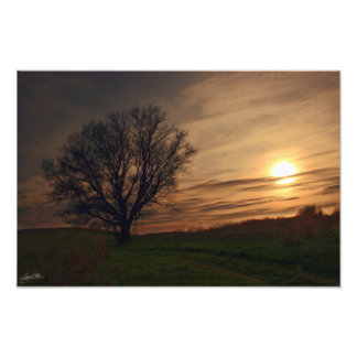 Impression Photo Arbre à coucher
