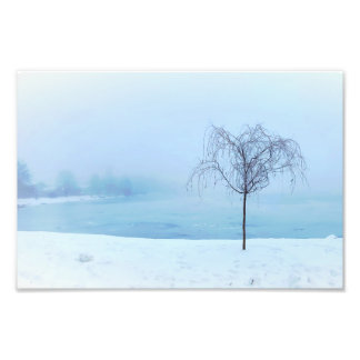 Impression Photo Arbre au bord d'un lac gelé