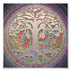 Impression Photo Arbre de la vie avec le papillon