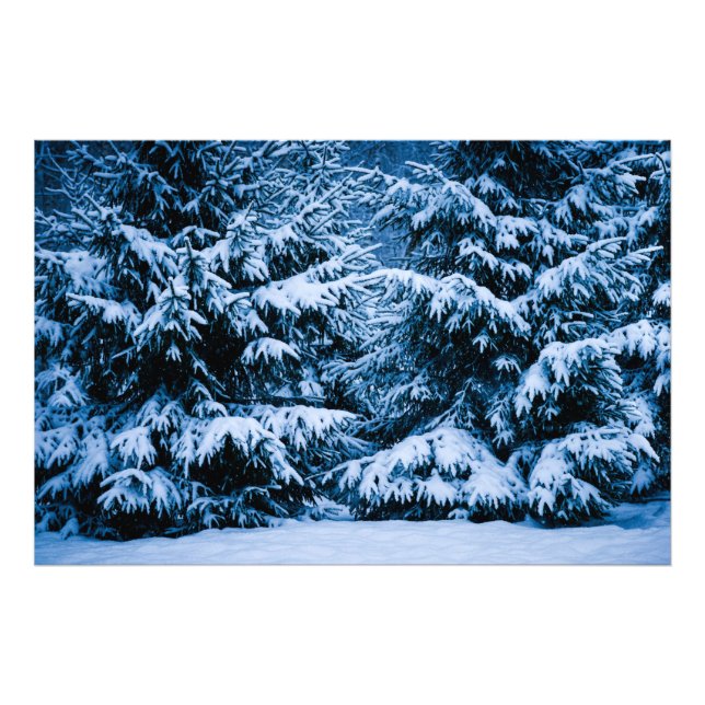 Impression Photo Arbre de Noël de la forêt d'hiver (Devant)