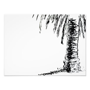 Impression Photo Arbre de Roberts
