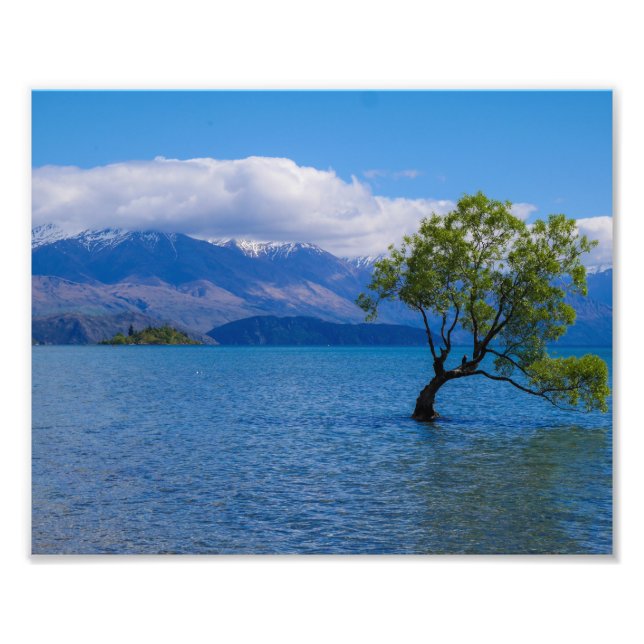 Impression Photo Arbre de Wanaka, lac Wanaka, Nouvelle-Zélande - Ph (Devant)
