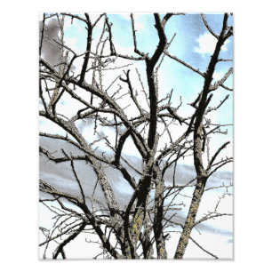 IMPRESSION PHOTO ARBRE D'HIVER