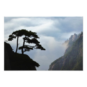 Impression Photo Arbre en silhouette au lever du soleil, Montagne J