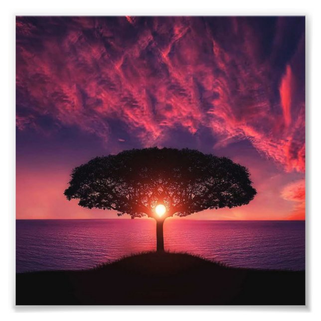 Impression Photo Arbre et soleil (Devant)