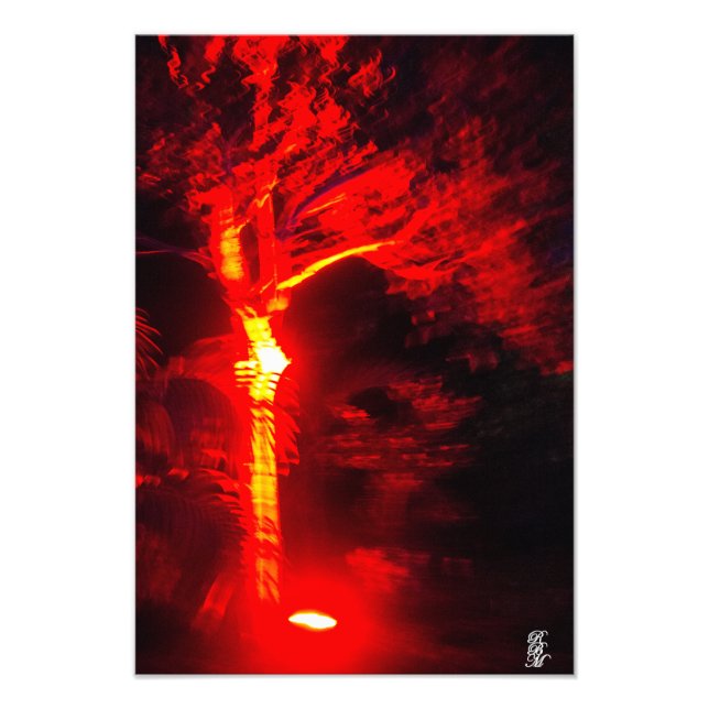 Impression Photo Arbre rouge (Devant)