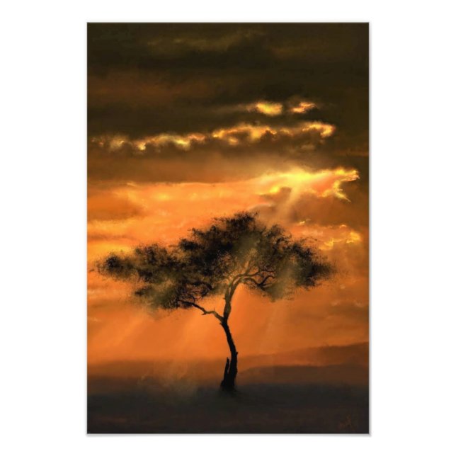 Impression photo Arbre solitaire Rayons de soleil  (Devant)