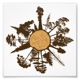 Impression Photo Arbre Tronc Section de croissance Cercles Pins Arb