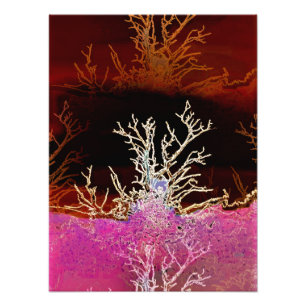 IMPRESSION PHOTO ARBRES