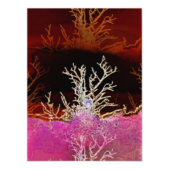 IMPRESSION PHOTO ARBRES (Devant)