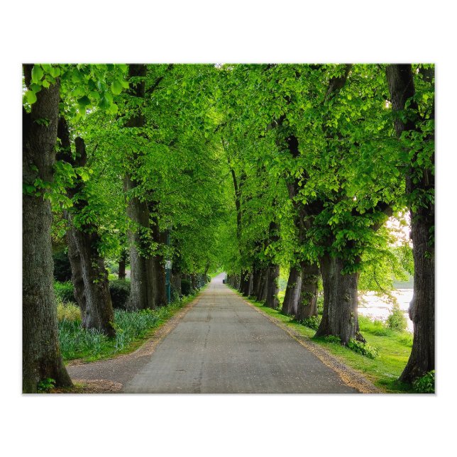 Impression Photo Arbres (Devant)
