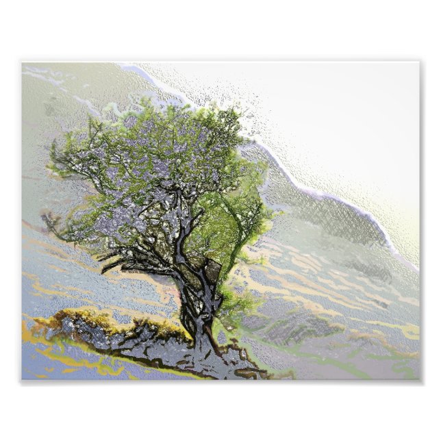 IMPRESSION PHOTO ARBRES (Devant)