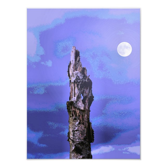 IMPRESSION PHOTO ARBRES (Devant)