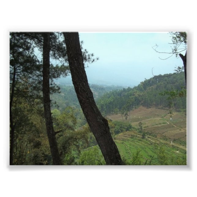 Impression Photo Arbres (Devant)