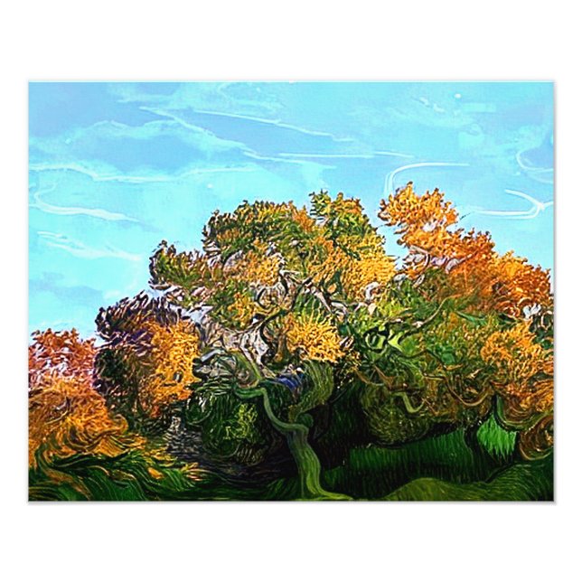 IMPRESSION PHOTO ARBRES D'AUTOMNE (Devant)