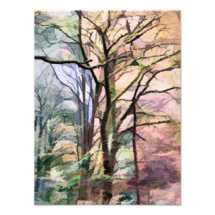 IMPRESSION PHOTO ARBRES D'AUTOMNE