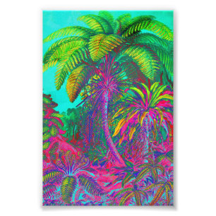 Impression Photo Arbres et fougères de Filicinae