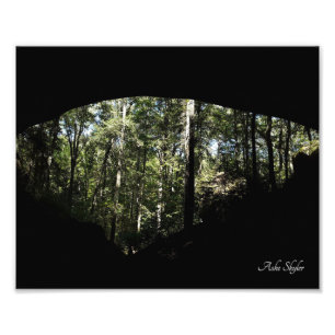 Impression Photo Arche forestière de Sandstone