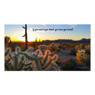 Impression Photo Arizona Desert Sunset Cactus Inspiration Dire