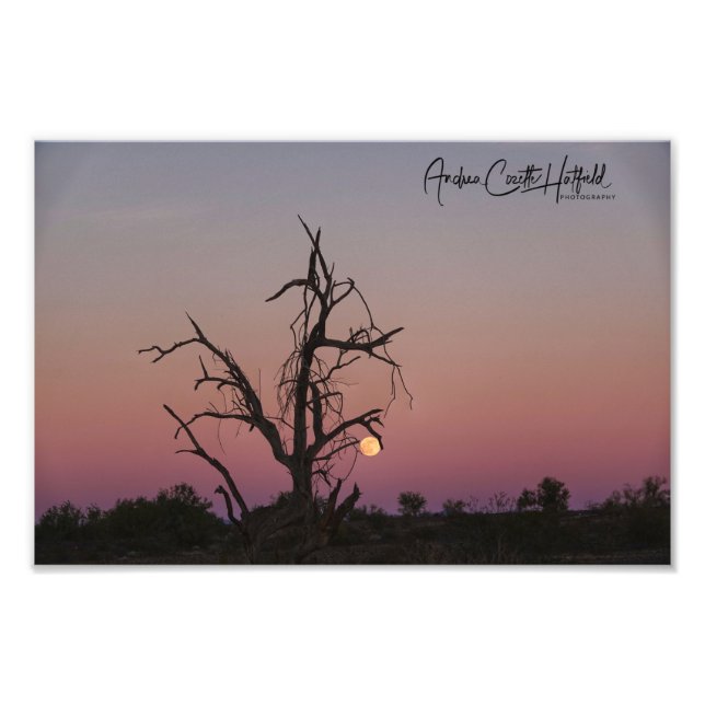 Impression Photo Arizona Moon (Devant)