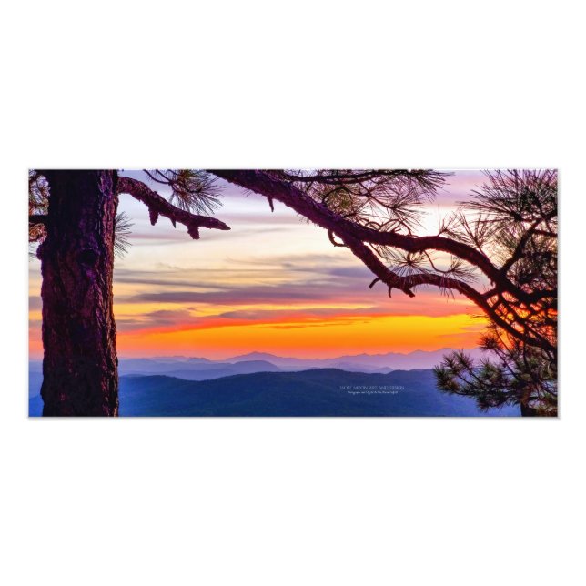 Impression Photo Arizona Sunset Pine Tree Mounts Vue Pittoresque (Devant)