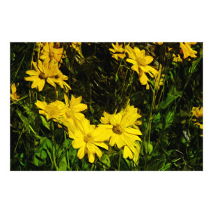 Impression Photo Arrowleaf Fleur sauvage Jaune Arrowley Abstrait
