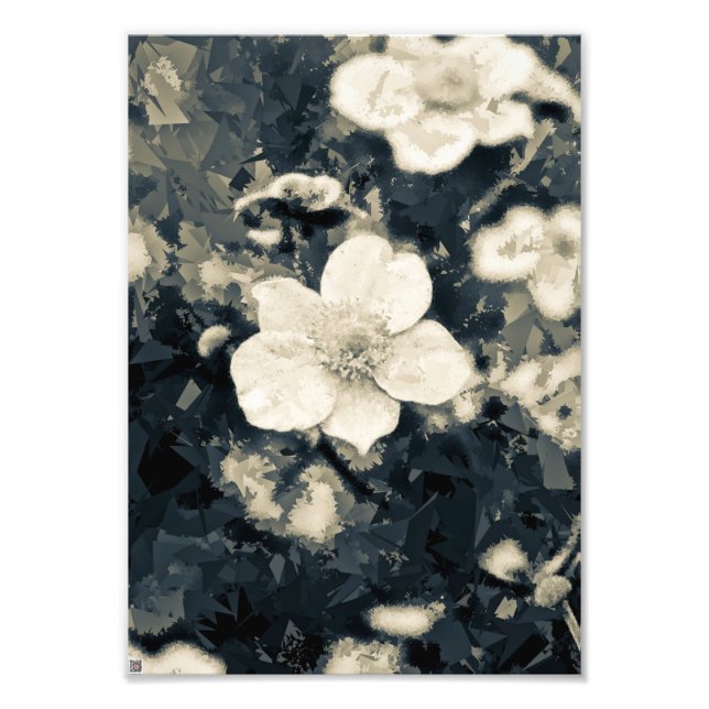 Impression Photo Art botanique de la fleur d'anémone lunatique (Devant)