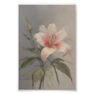 Impression Photo Art botanique de lily rose pâle et blanc
