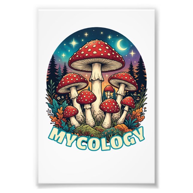Impression Photo Art champignon de la forêt enchantée (Devant)