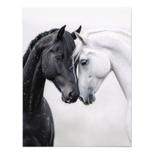 Impression Photo Art Cheval Stallion Noir et Blanc