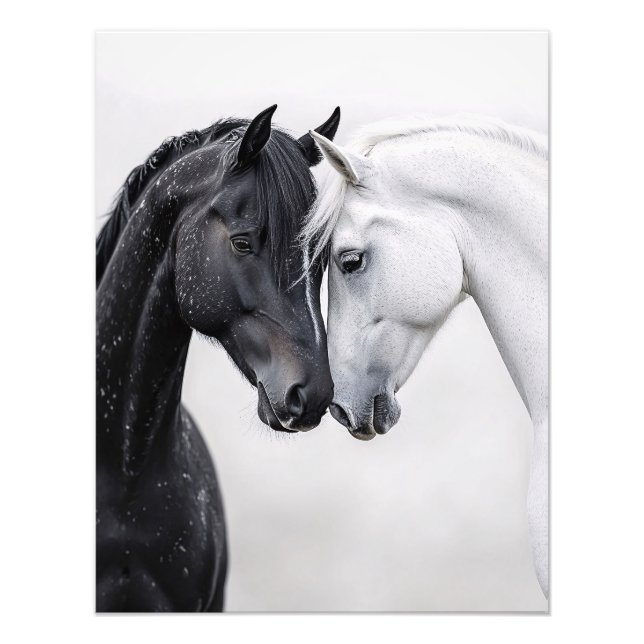 Impression Photo Art Cheval Stallion Noir et Blanc (Devant)