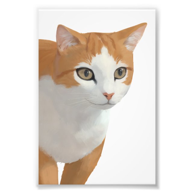 Impression Photo Art de chat roux adorable (Devant)