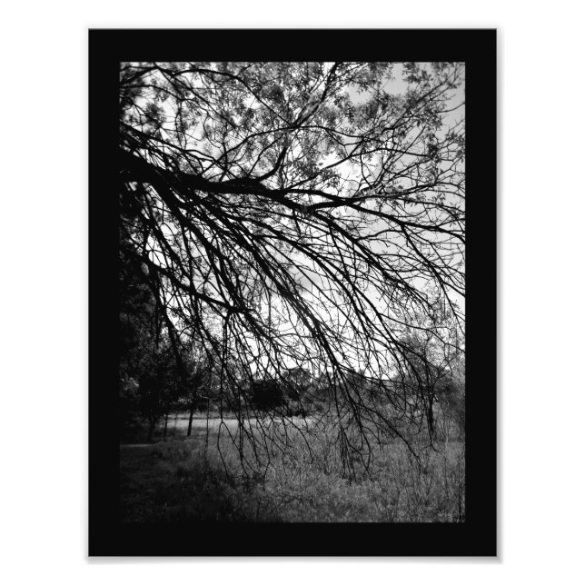 Impression Photo Art de la nature (Devant)