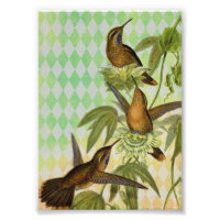 Art numérique de colibri