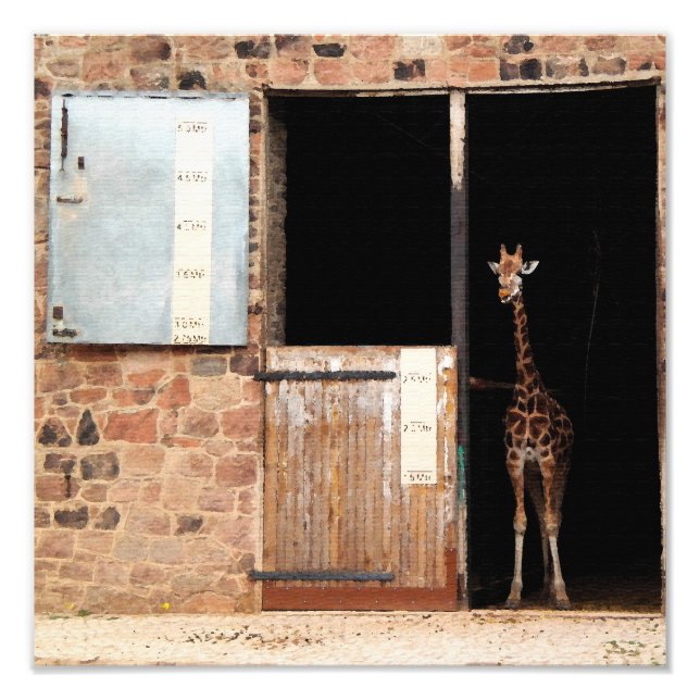 Impression Photo Art numérique Priya (Devant)