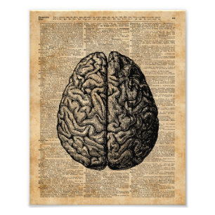 Impression Photo Art vintage de dictionnaire d'illustration