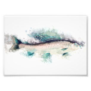 Impression Photo Artic gris Aquarelle Art Pêche amateurs