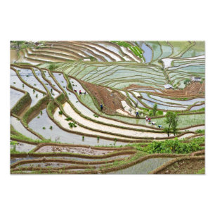 Impression Photo Asie, Chine, Yunnan, Jinping. Peuple Yi autochtone