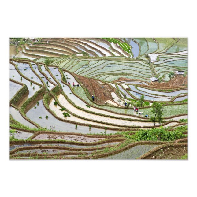 Impression Photo Asie, Chine, Yunnan, Jinping. Peuple Yi autochtone (Devant)