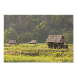 Impression Photo Asie, Thaïlande, Mae Hong Son, Huttes de riz dans