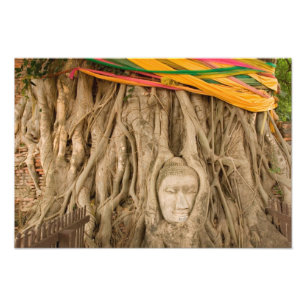 Impression Photo Asie, Thaïlande, Siam, Bouddha dans les ornières d