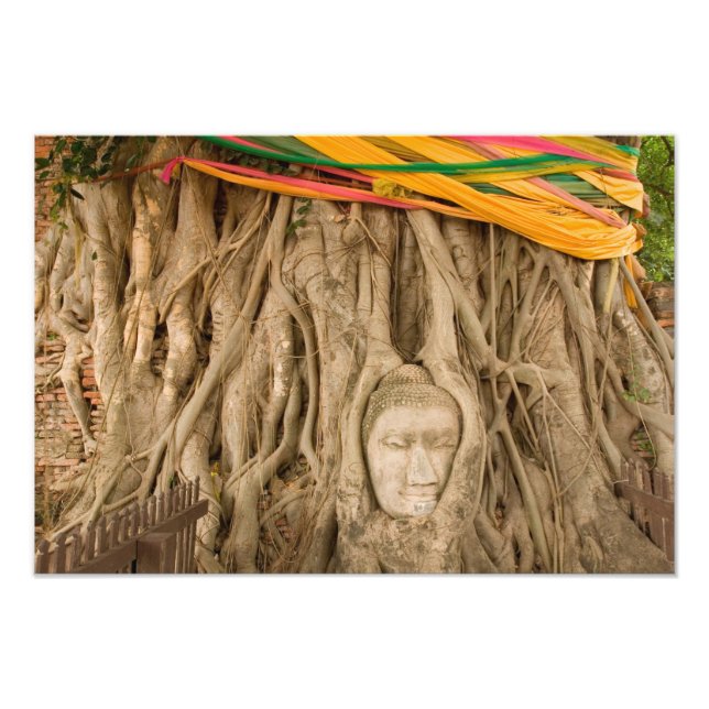 Impression Photo Asie, Thaïlande, Siam, Bouddha dans les ornières d (Devant)
