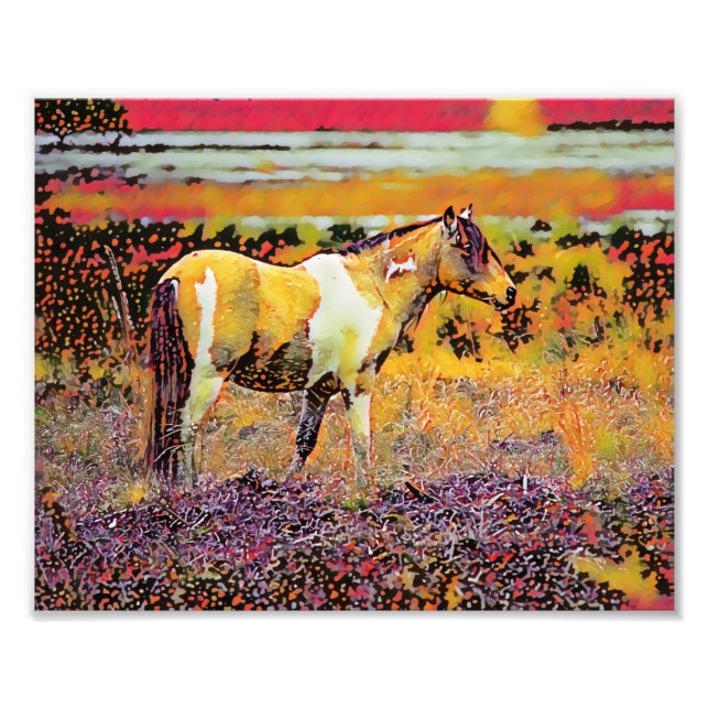 Impression Photo Assateague ou Chincoteague Ponies (Devant)