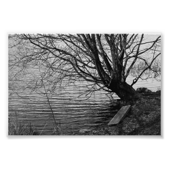 Impression Photo Au bord du lac (Devant)