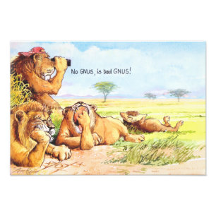 Impression Photo Aucun gnus