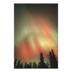 Impression Photo Aurora Borealis, aurores boréales, Fairbanks